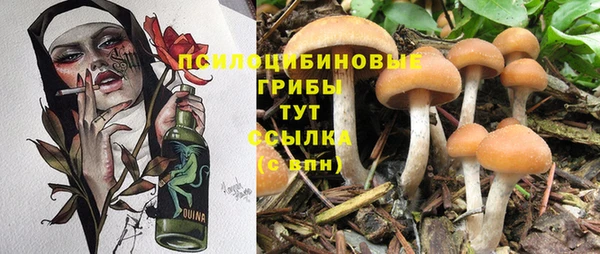 гидропоника Костерёво