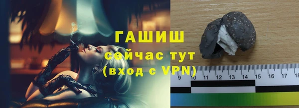 трава Корсаков