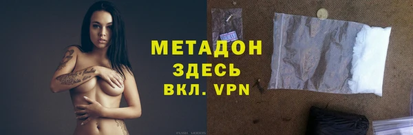 трава Корсаков