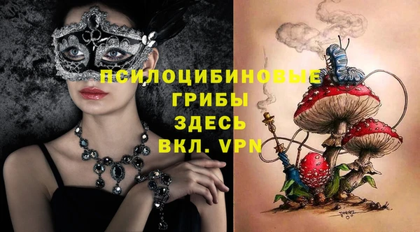трава Корсаков