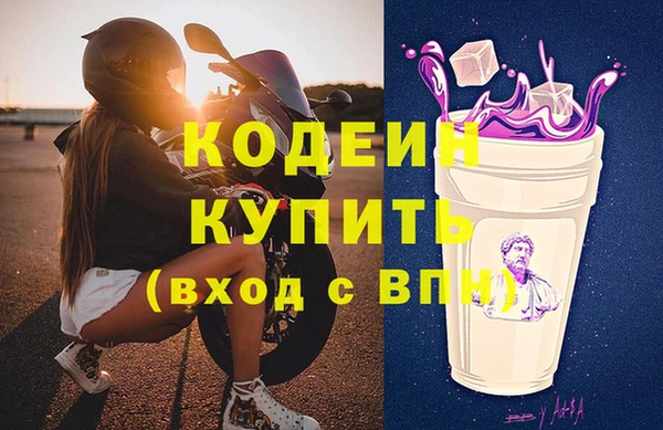 трава Корсаков