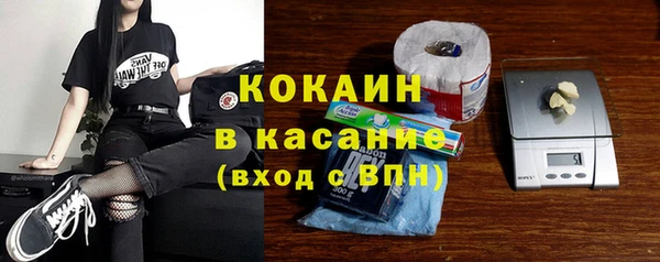 трава Корсаков