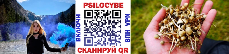 Купить  Мончегорск  Галлюциногенные грибы Cubensis 